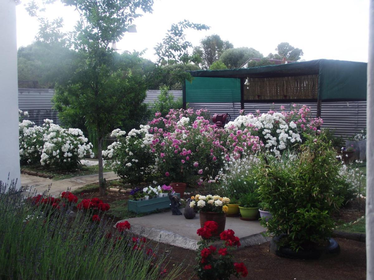 BethulieLavender Rose住宿加早餐旅馆 外观 照片